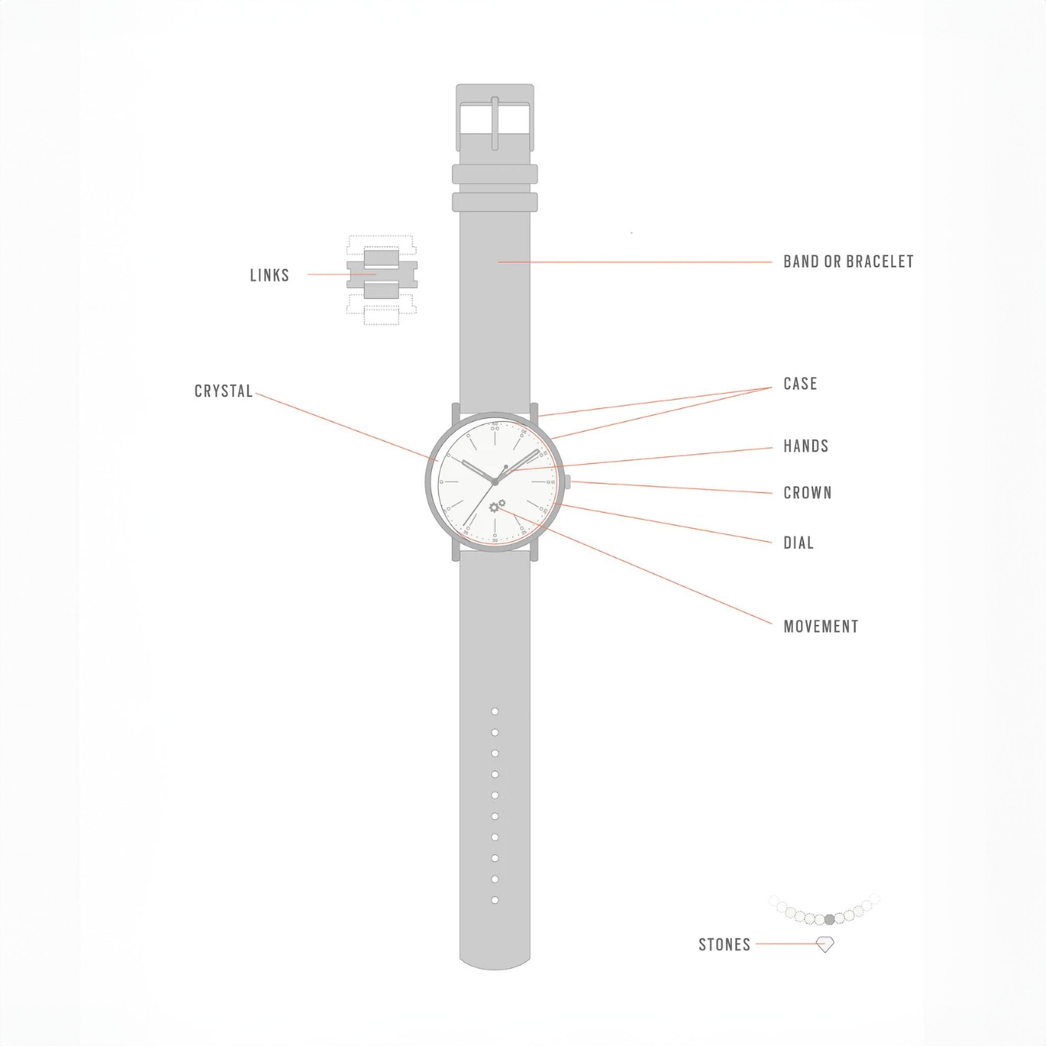 Movement / Chronograph for Jelly Bean